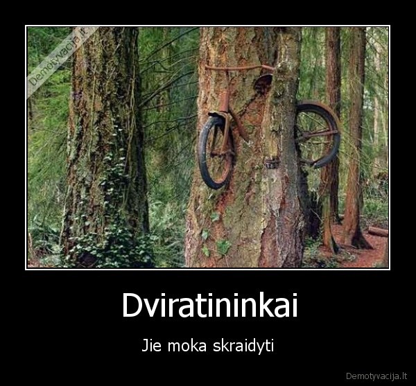 dviraciai,dviraciai
