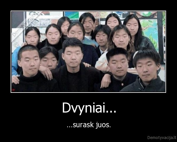 Dvyniai...