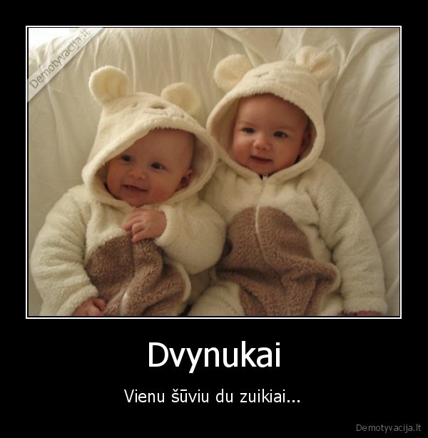 dvynukai