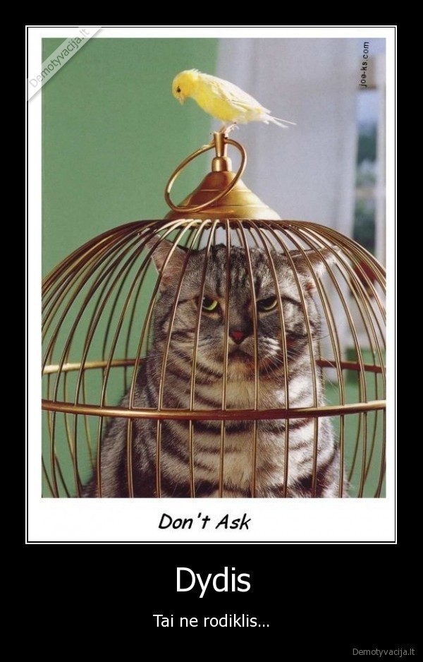 kate,kanarele,narvas