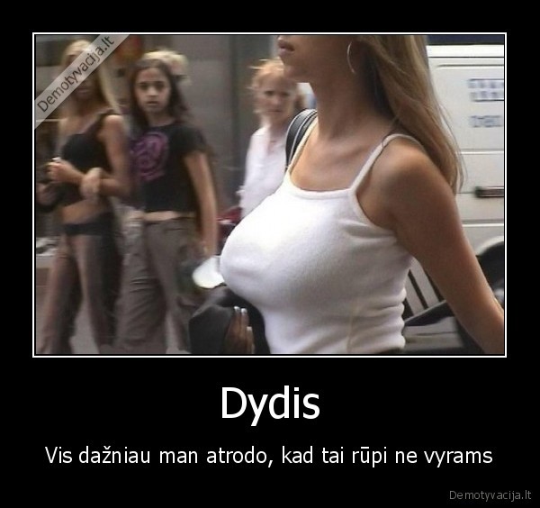 Dydis
