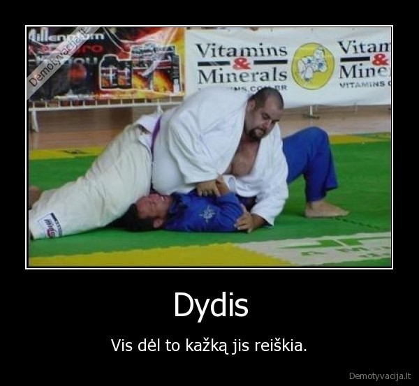 Dydis