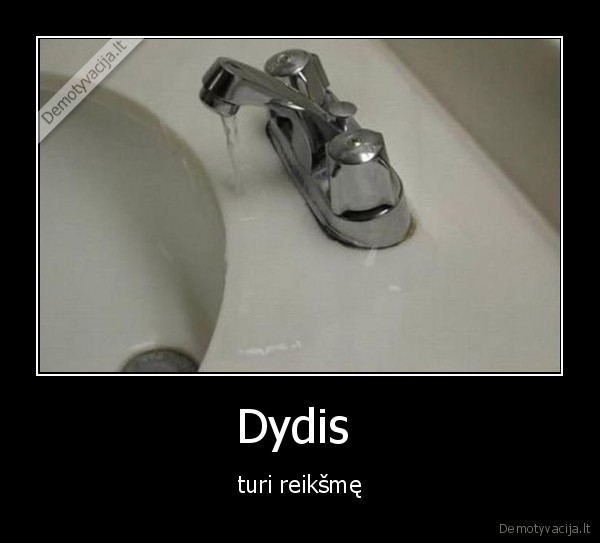 dydis