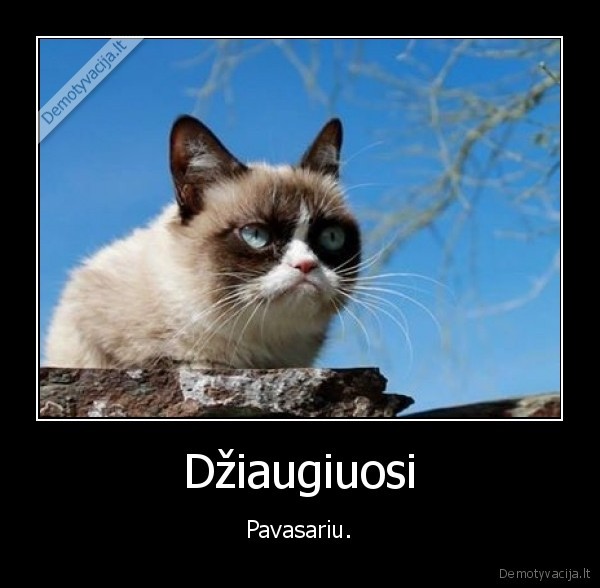 pavasaris,dziaugtis,orai