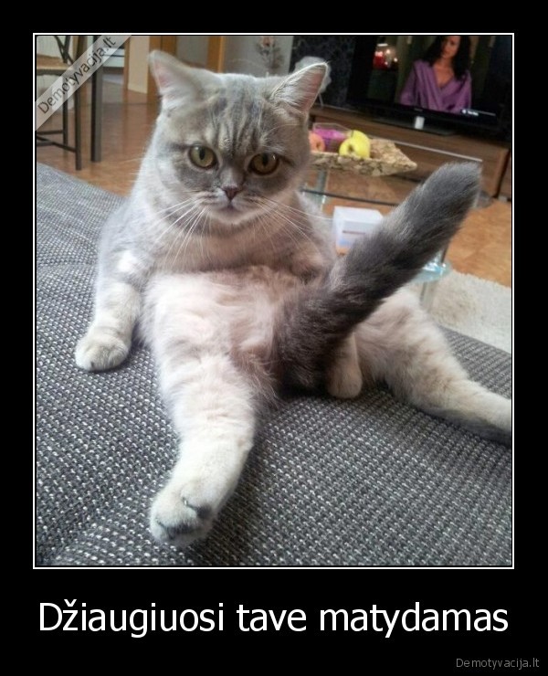 Džiaugiuosi tave matydamas