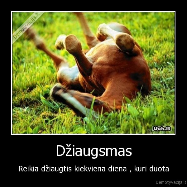 Džiaugsmas