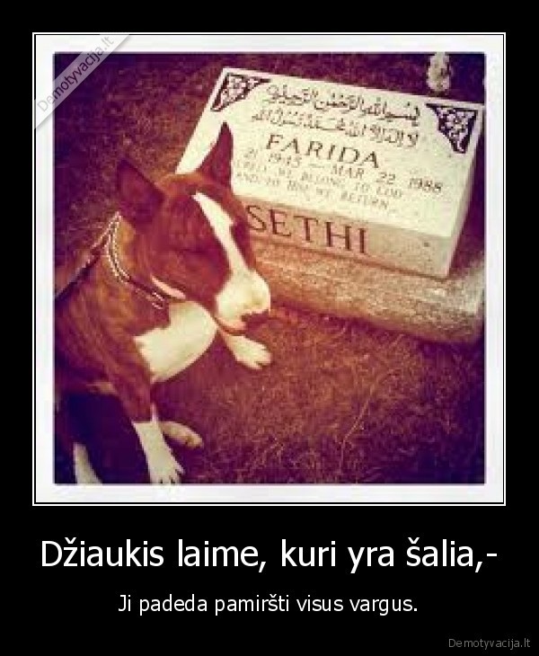 dziaukis,laime,salia,pamirsti, vargus