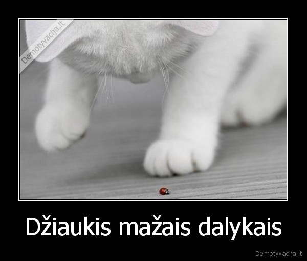Džiaukis mažais dalykais