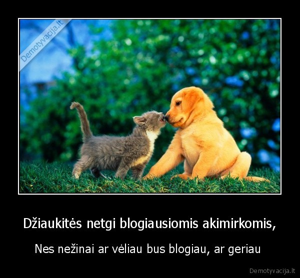 Džiaukitės netgi blogiausiomis akimirkomis,