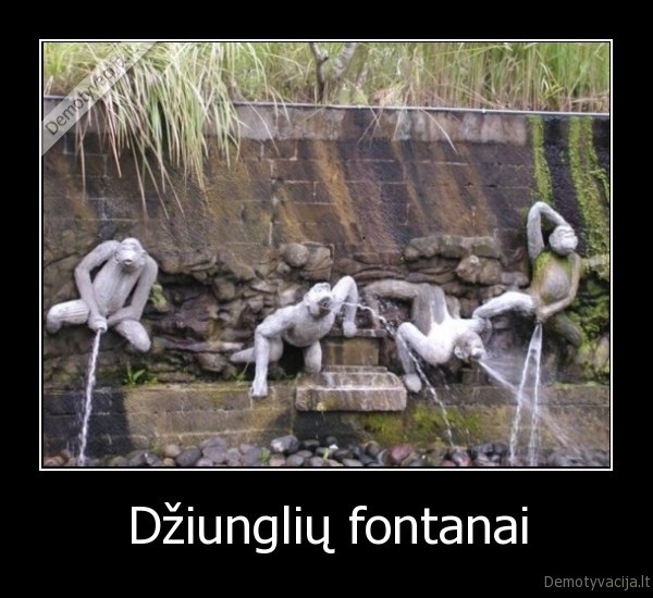 Džiunglių fontanai