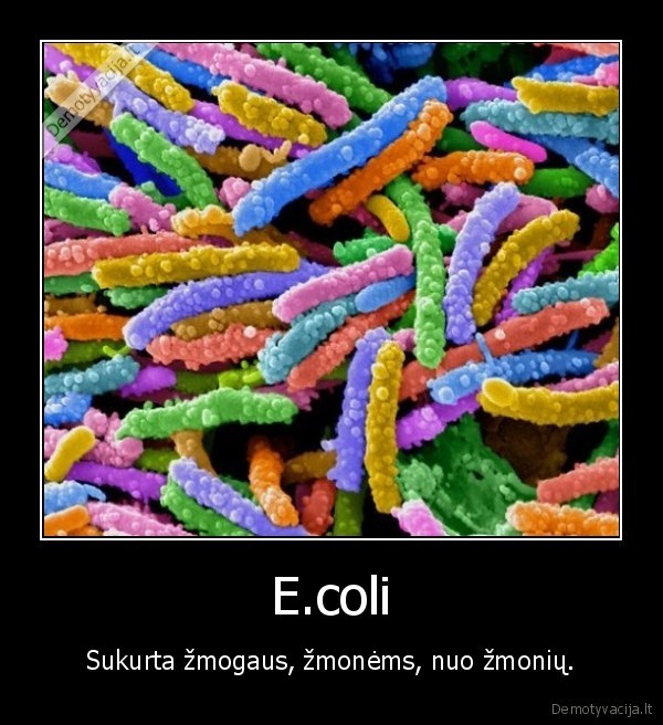 E.coli