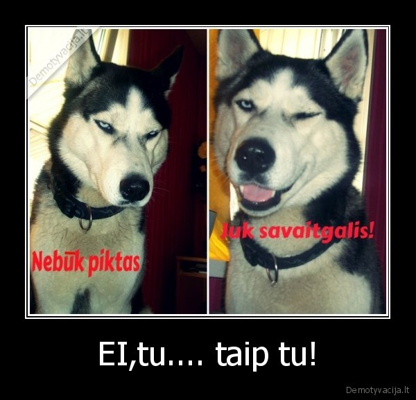 mano, so, maladec, jis