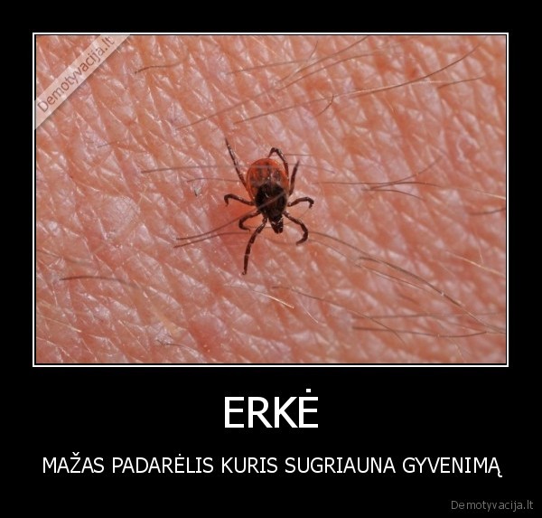 ERKĖ