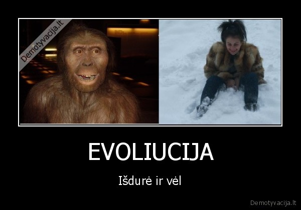 evoliucija