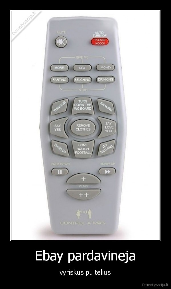 Ebay pardavineja