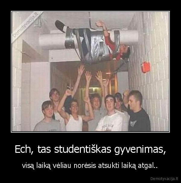 negerkit, pigaus, alaus, d