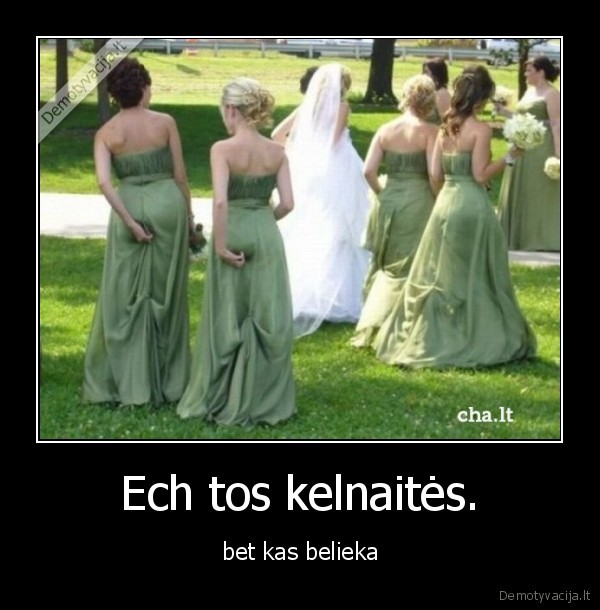 Ech tos kelnaitės.