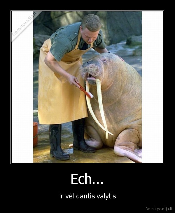 dantys,dantu, valymas