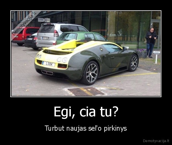 sel,bugatti,veyron,masina,milijonierius,egis