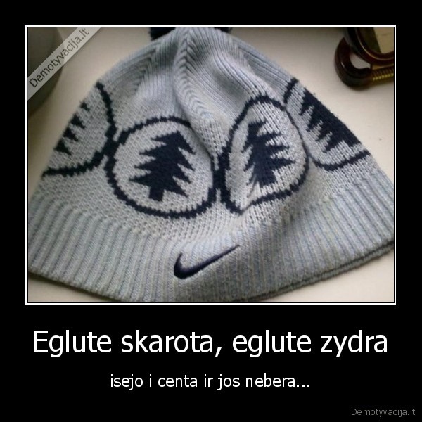 Eglute skarota, eglute zydra