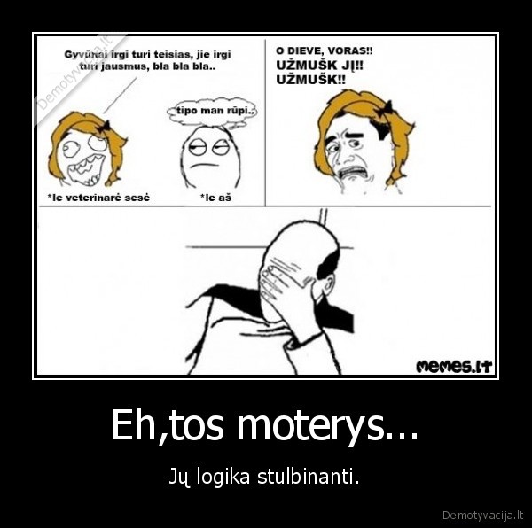 gyvunai, veterinare, sese, uzjaucia, gyvunus, o, vorus, tai, traiskyt, liepia