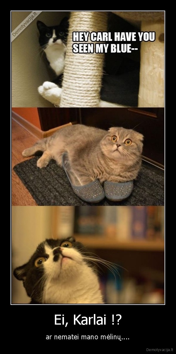 Ei, Karlai !?