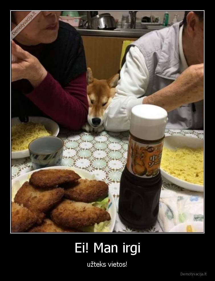 suo,stalas,maistas,vieta,draugas