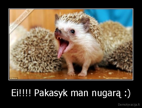 Ei!!!! Pakasyk man nugarą :)