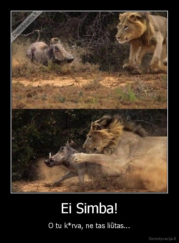 liutas,simba