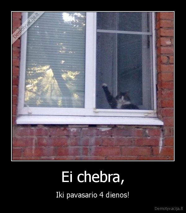 pavasaris,silta,orai