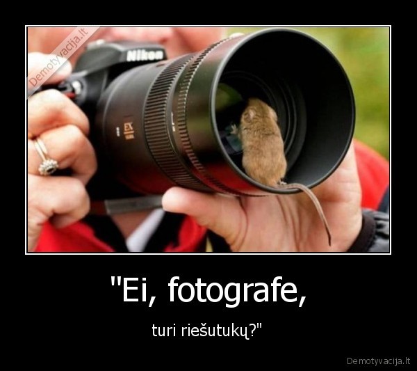 fotografija,ziurkenas,fotias,riesutai