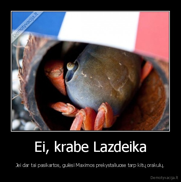 Ei, krabe Lazdeika