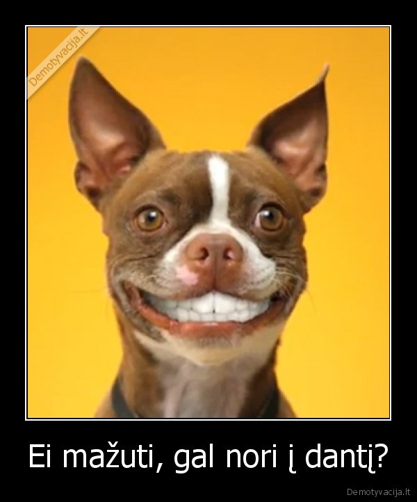 Ei mažuti, gal nori į dantį?