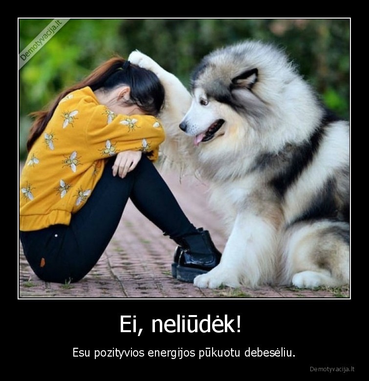 pukuotas,debeselis,suo,liudesys