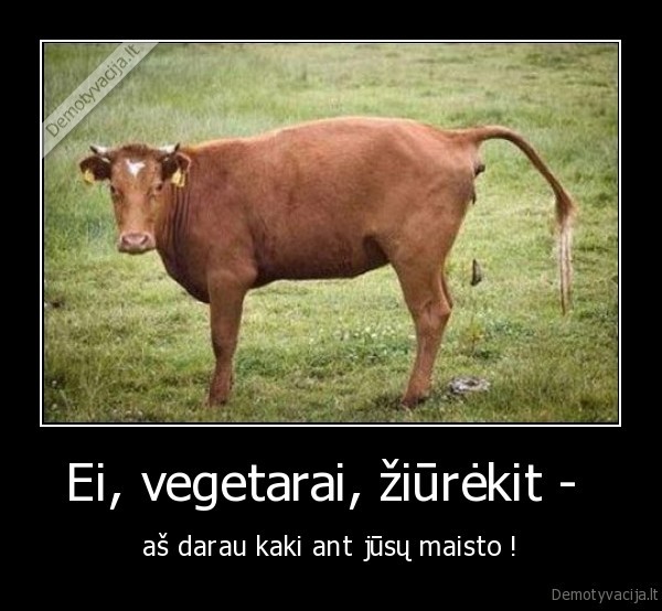 Ei, vegetarai, žiūrėkit - 