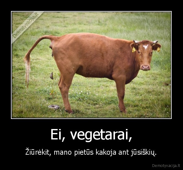 vegetarai,bulius,karve,pietus,kakoja,sika