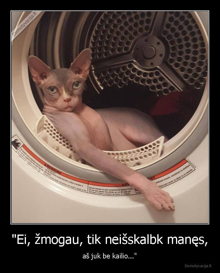 kate,katinas,sfinksas,kailis