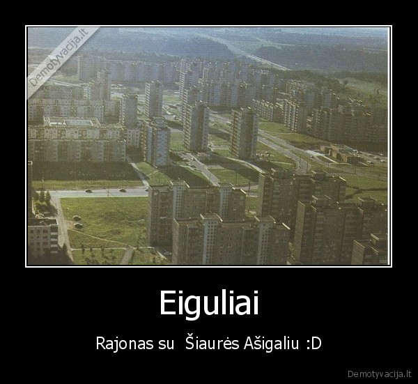 eiguliai,asigalio, g., siaures, pr
