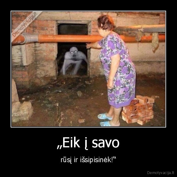 rusys,bobute,monstras