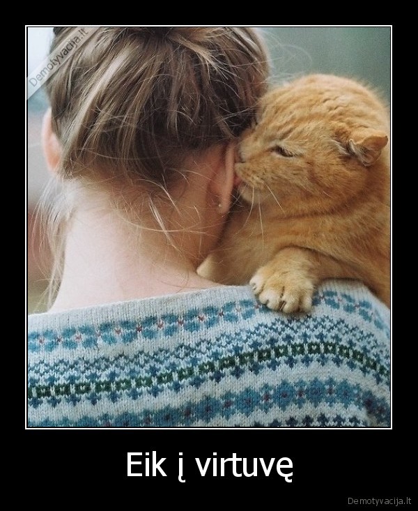 katinas,i, ausi,sako