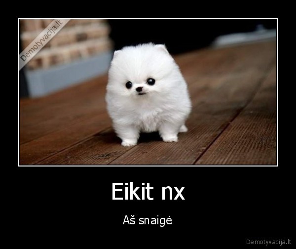 Eikit nx