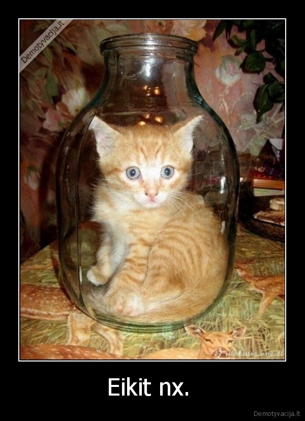 Eikit nx. 