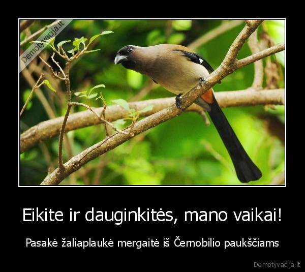 Eikite ir dauginkitės, mano vaikai!