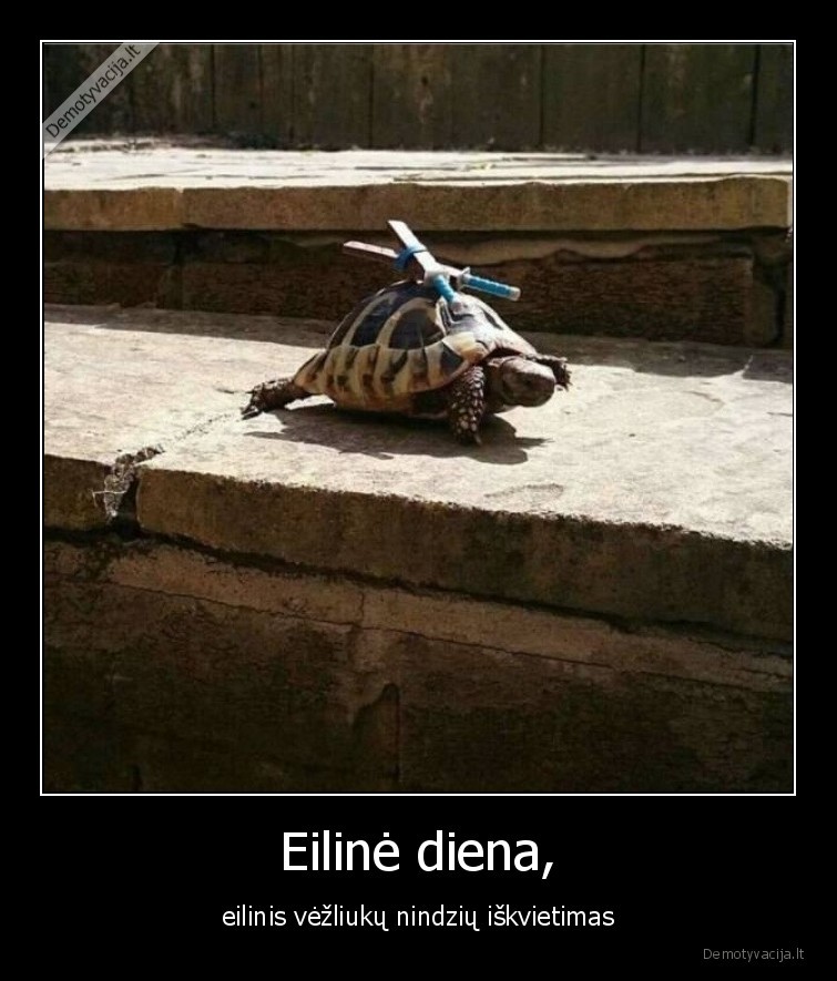 vezliukai,nindze,leonardo