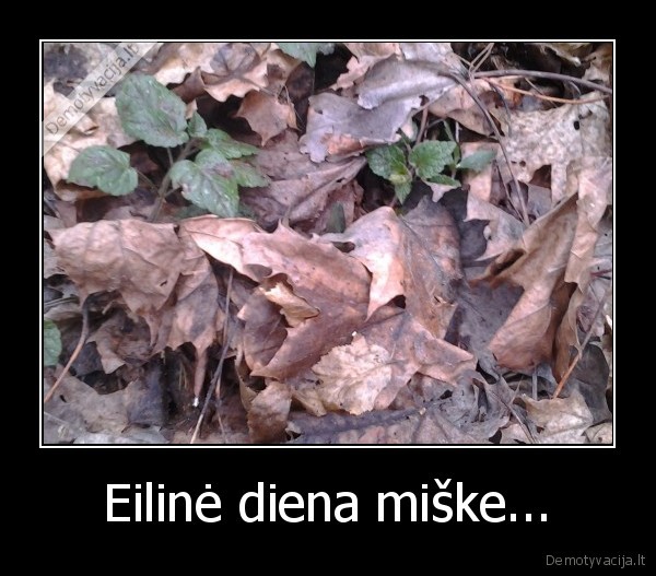 auliniai, batai, butini,nemetykit, buteliu, miske