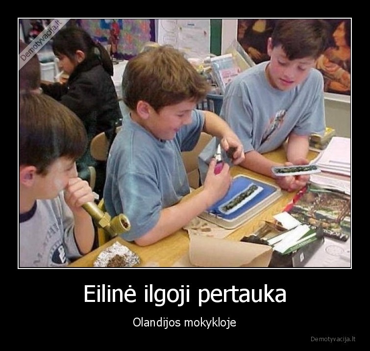 ilgoji,pertrauka,olandija,mokykla,zole,420