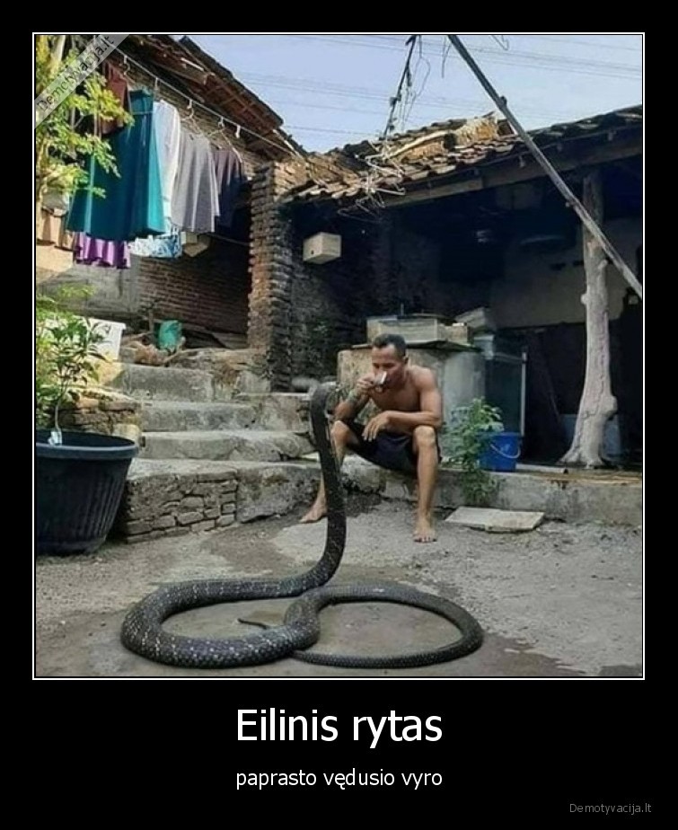 vyras,vedes,gyvate,moteris