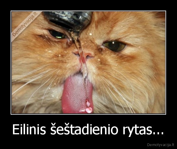 Eilinis šeštadienio rytas...