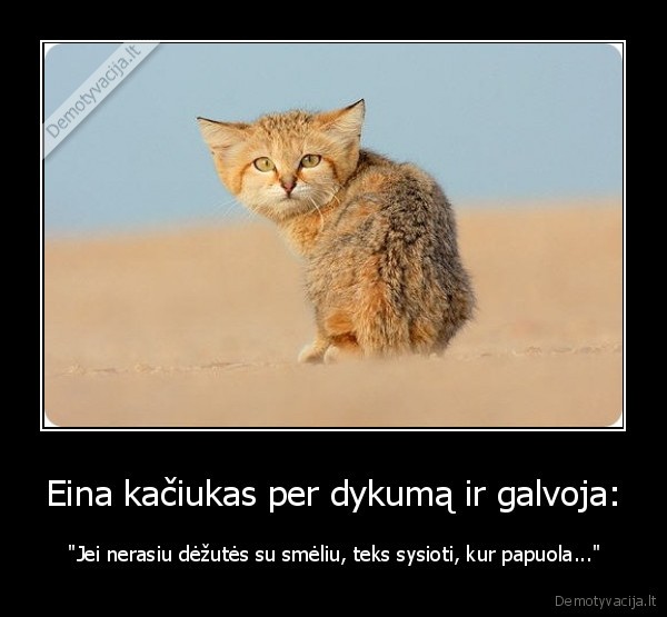 Eina kačiukas per dykumą ir galvoja: