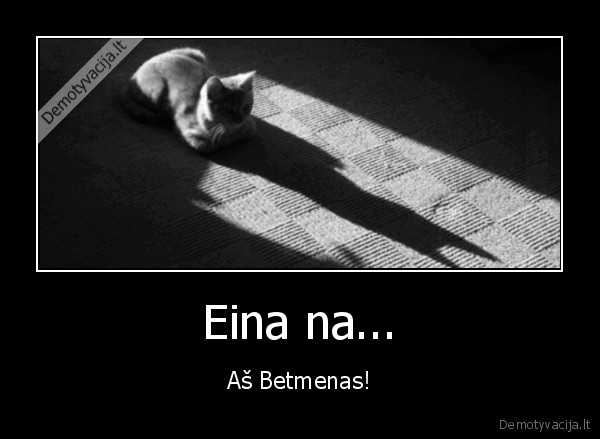 betmenas,katino, seselis